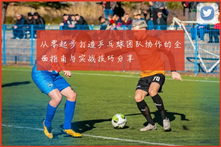 从零起步打造乒乓球团队协作的全面指南与实战技巧分享