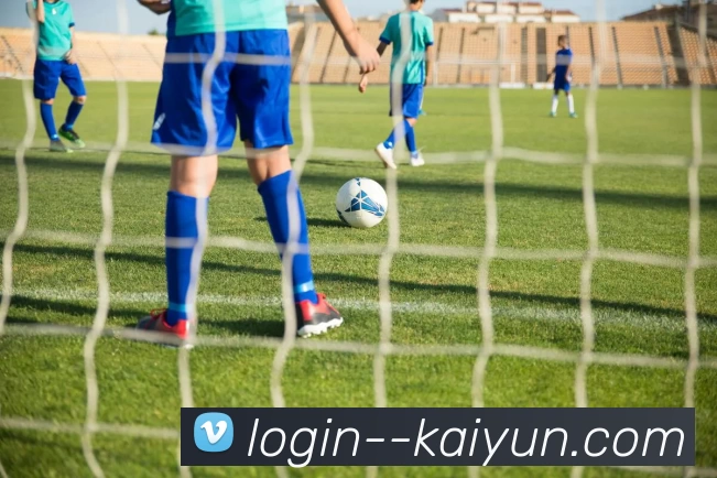 App Interface Preview